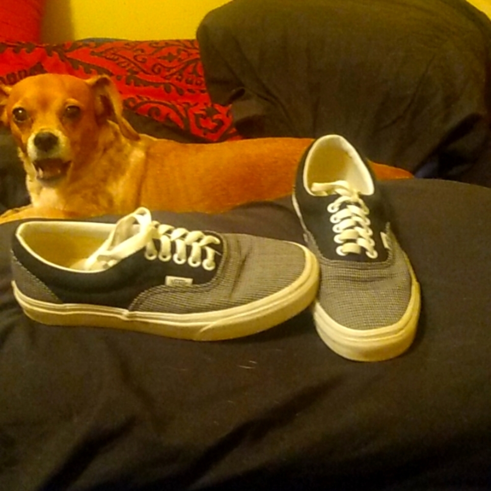 Vans men's size 7 tennis shoes